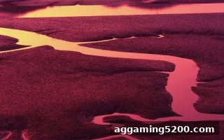 立博彩票玩法深度解析：综合投注策略与实战技巧