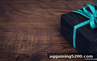 立博新用户福利深度解析：H5网页版畅玩指南