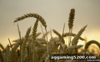 立博解析：KA电子新用户首存红包活动全面指南与操作流程