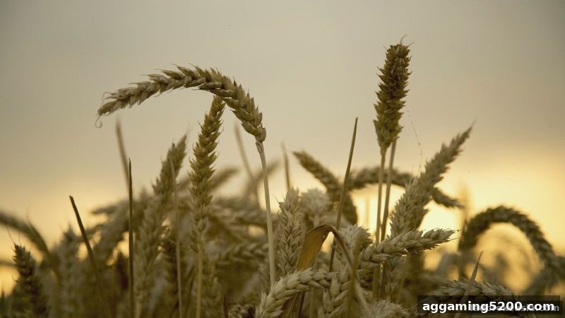 立博解析：KA电子新用户首存红包活动全面指南与操作流程
