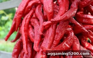 立博GR电子VIP等级全攻略：从入门到至尊的进阶之路