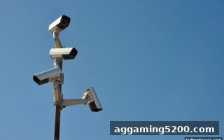 立博视角：数字娱乐与赛事直播平台的甄别指南