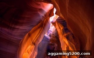 立博老虎机全攻略：从玩法入门到充值优惠一网打尽